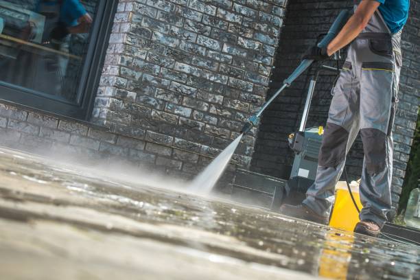 Best Fleet Vehicle Washing  in Wayne City, IL