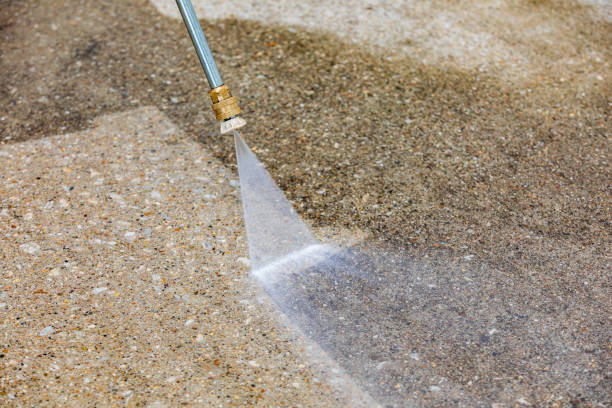 Best Patio and Deck Pressure Washing  in Wayne City, IL
